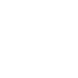 Spark of Finality icon