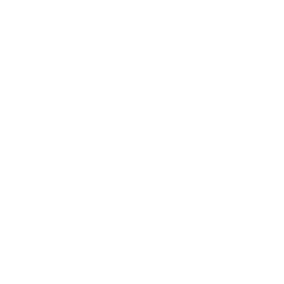 Guard Style: Melee icon