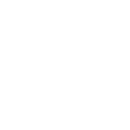 Aegis Protection icon