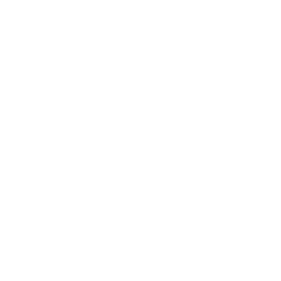 Precision Strike icon