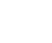 Blitz Assault icon