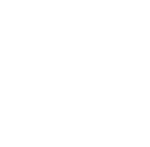 Stellar Torrent icon