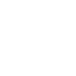 Static Discharge icon