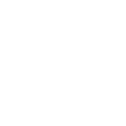 Frost Bloom icon
