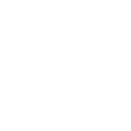 Syou: Pulsar Streak icon