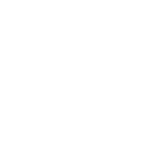 Homing Bunny Volley icon