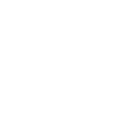 Void Blossom icon