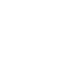 Plushie Dance icon
