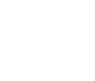 Snowish Warrior icon