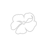 Sky, Flowers, Poem icon