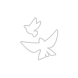 Prayer Beneath Light icon