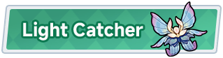 Light Catcher
