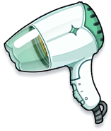 Portable Blower